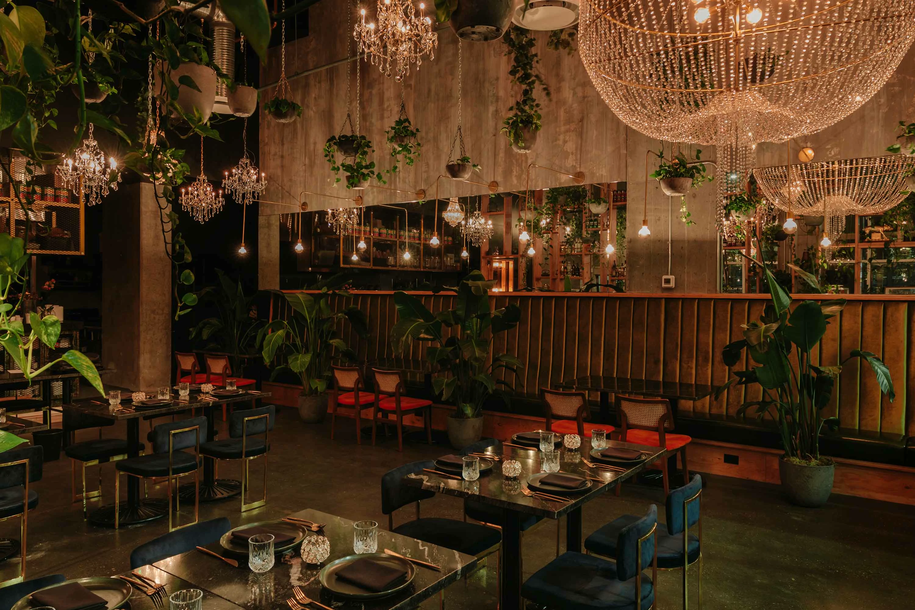 Orchard Restaurant dining atmosphere and cinematic interior framing